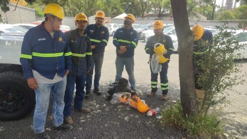 WhatsApp Image 2025-04-30 at 4.47.40 PM (1)