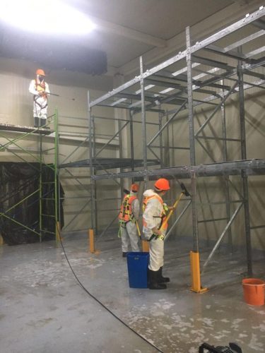 WhatsApp Image 2025-04-30 at 4.47.42 PM (1)