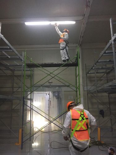 WhatsApp Image 2025-04-30 at 4.47.42 PM (2)